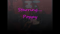 Poppy d...