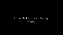 littledick