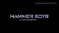 Hammerb...