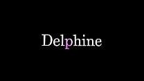 Delphin...