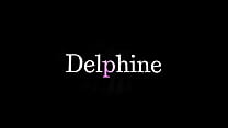 Delphin...