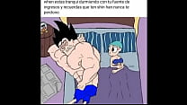 Vegeta ...